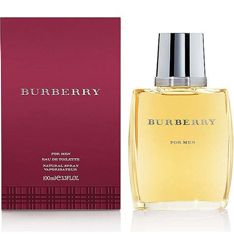 burberry 100ml cologne|original burberry cologne for men.